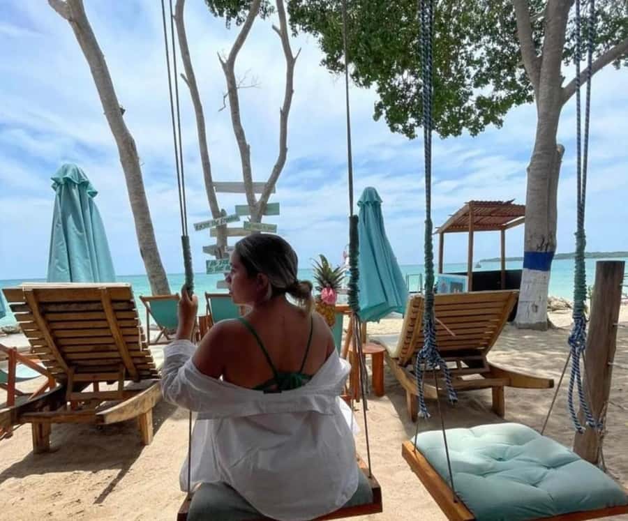 Barú: Club Freedom Beach with Mangrove and Snorkel - The Barú mangroves and the raccoon stop