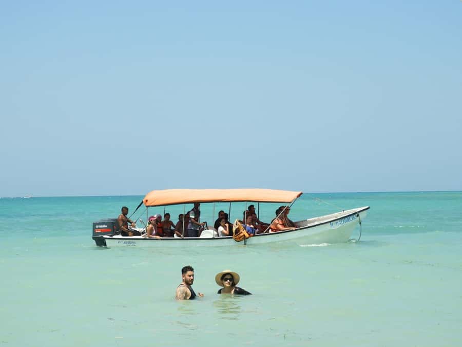 BARÚ: Enjoy the magic of Baru choosing best option for you - Should you book this Barú experience?