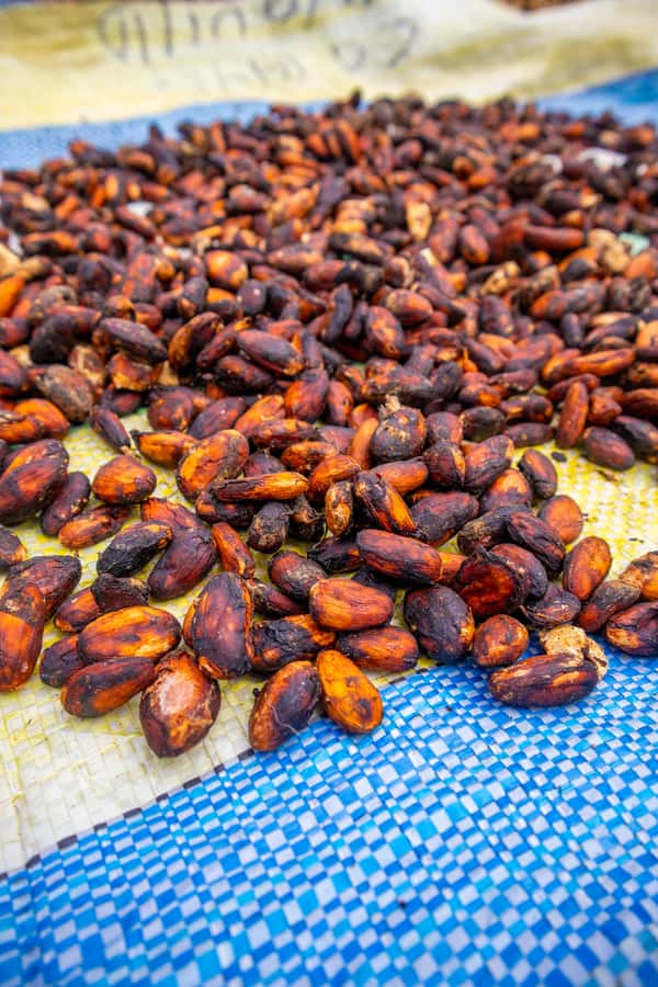 Bean to Bar: Cocoa and Chocolate Workshop - Practical Tips for a Better Class