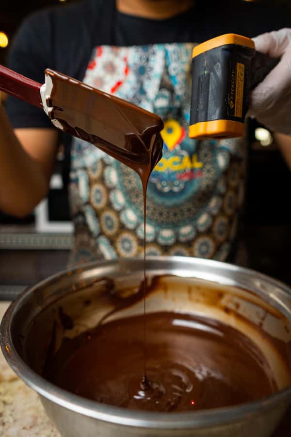 Bean to Bar: Cocoa and Chocolate Workshop - Who Should Book This Workshop?
