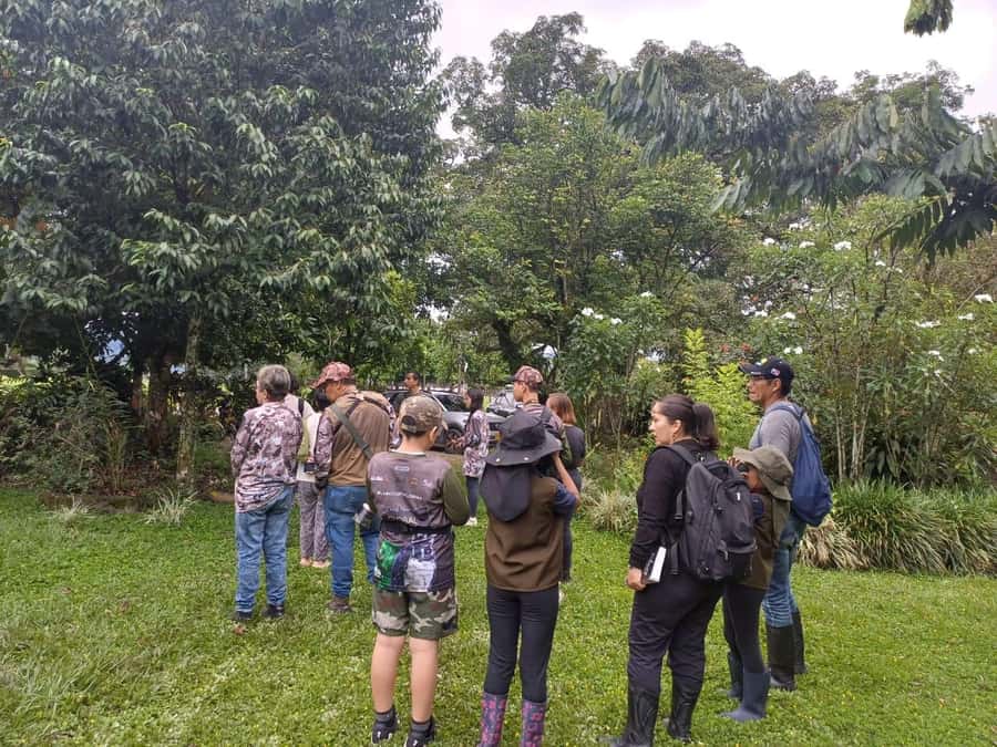 Bird Watching in Acacías Meta - The birds you may see around the gardens and lake