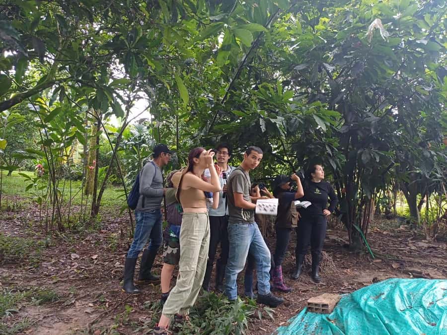 Bird Watching in Acacías Meta - Who will enjoy this Acacías activity most