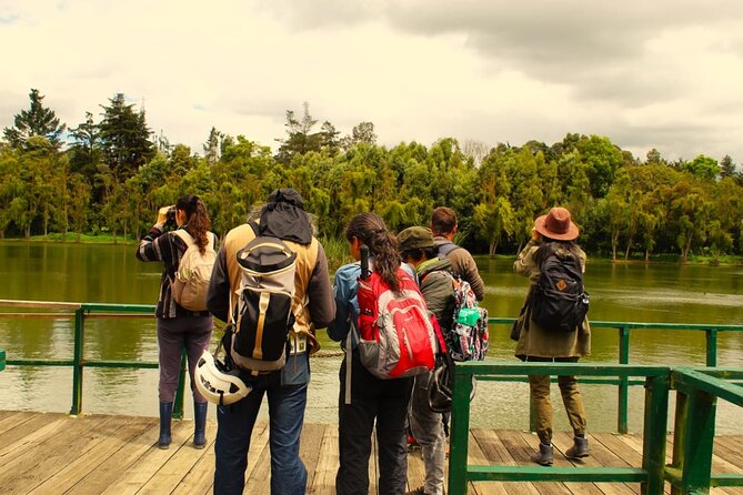 Bird watching in Bogota wetlands with Bakata Bird - Why these wetlands matter in Bogotá