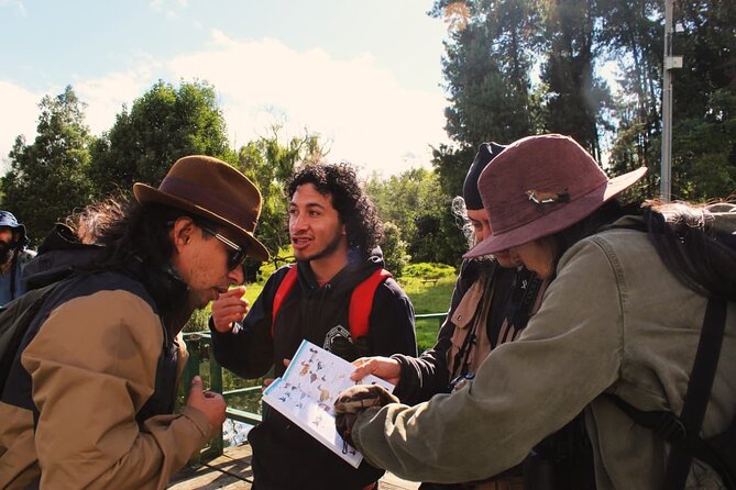 Bird watching in Bogota wetlands with Bakata Bird - Timing, transport, and comfort