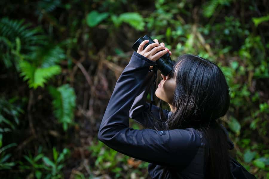 Birding Medellin with expert bird-watcher (Private) - The birds you might see