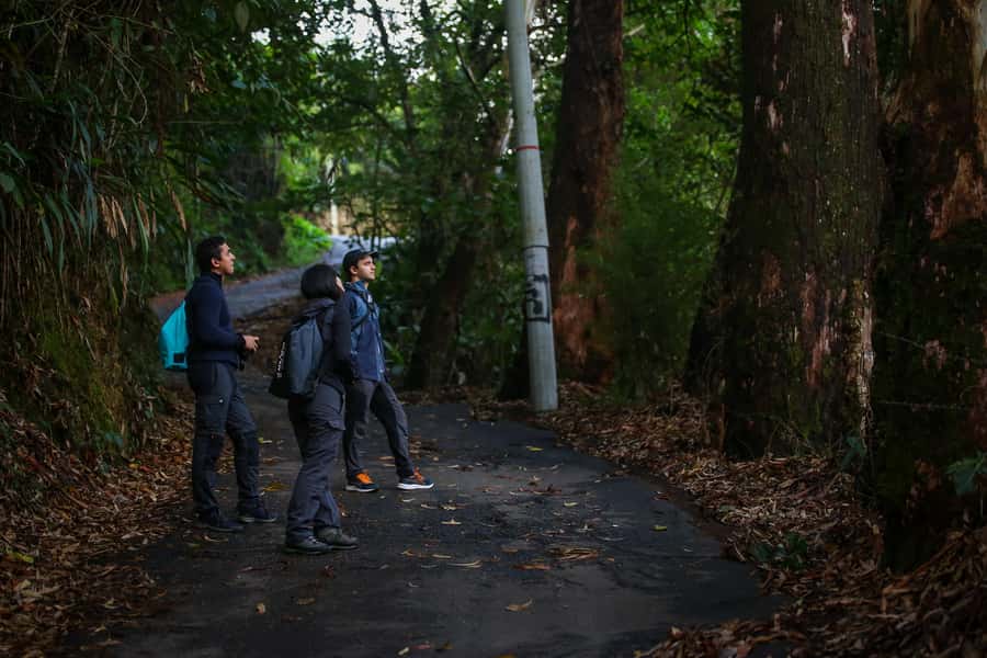 Birding Medellin with expert bird-watcher (Private) - Who should book this birding outing?