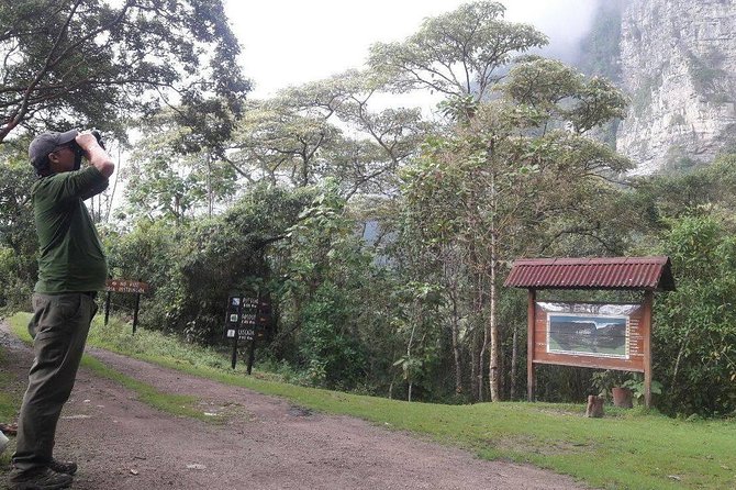 Birding & Nature to Chicaque Cloud Forest Nature Reserve - Why Chicaque is more than a quick escape
