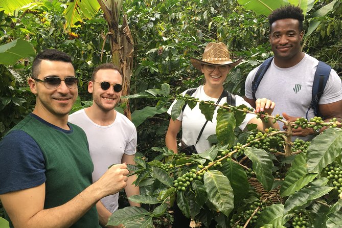 Birds & Beans Traditional Coffee Tour - Key Points Before You Book