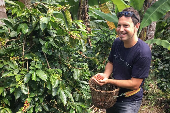 Birds & Beans Traditional Coffee Tour - Why This Coffee Trip Is Different