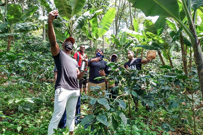 Birds & Beans Traditional Coffee Tour - Coffee, Lunch, and Local Food