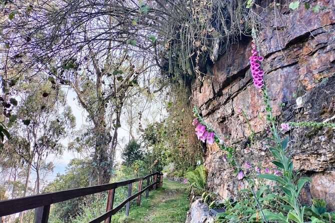 Birdwatching at Monserrate Bogotá 4H - The morning pickup and ride to Monserrate