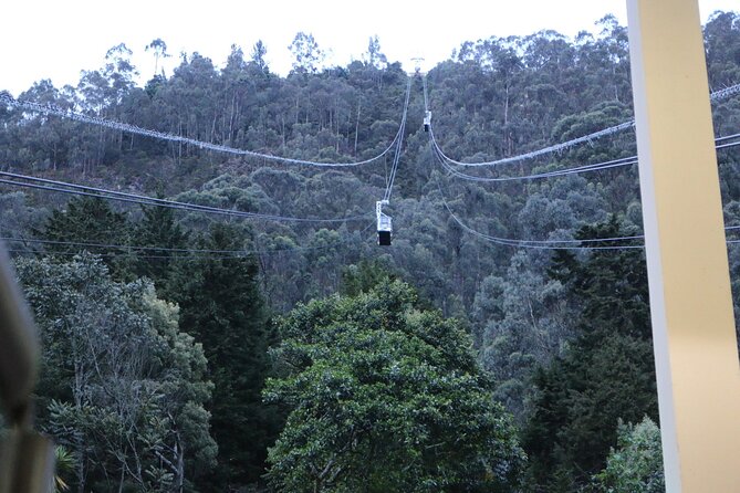 Birdwatching at Monserrate Bogotá 4H - Why the private format matters