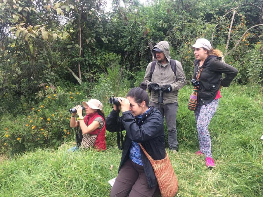 Birdwatching Day Tour at Chicaque Natural Park - What the birdwatching lesson adds