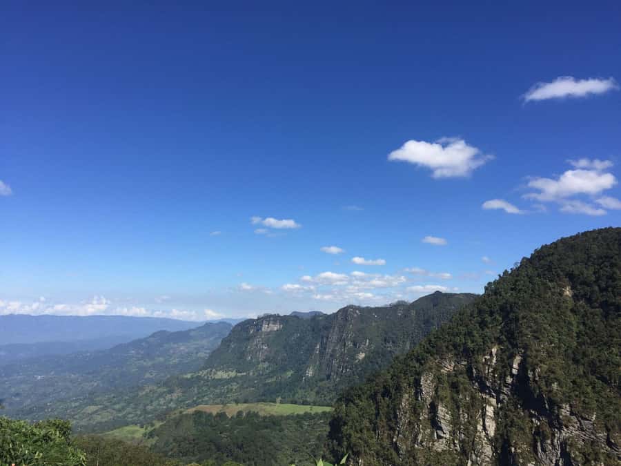 Birdwatching Day Tour at Chicaque Natural Park - A practical plan for the day