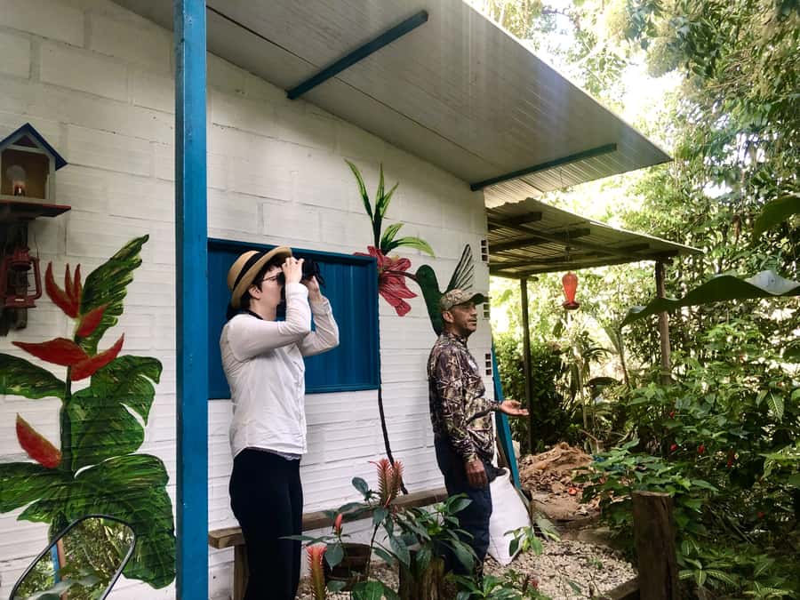 Birdwatching in Guatapé with Around 400 Bird Species - Why Guatapé is a strong base for birdwatching