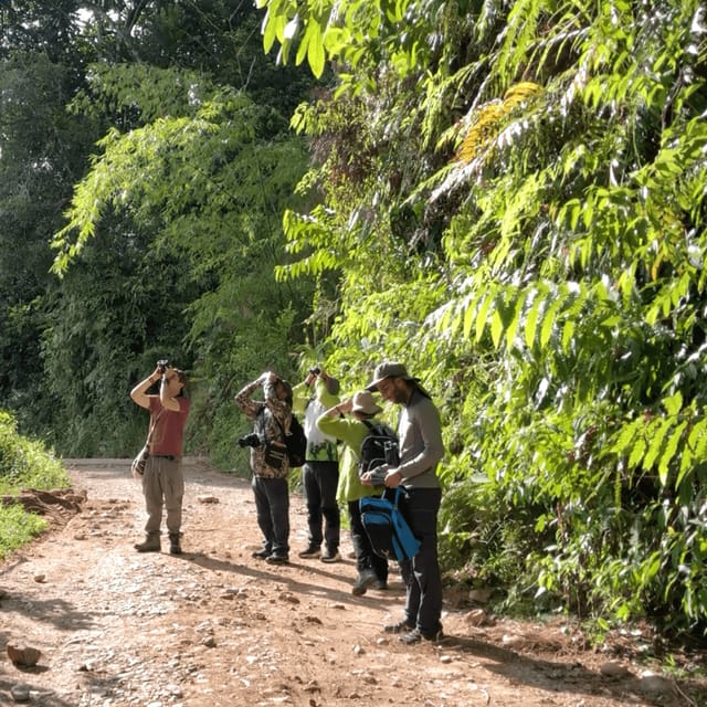 Birdwatching in Guatapé with Around 400 Bird Species - What the guides add to the experience