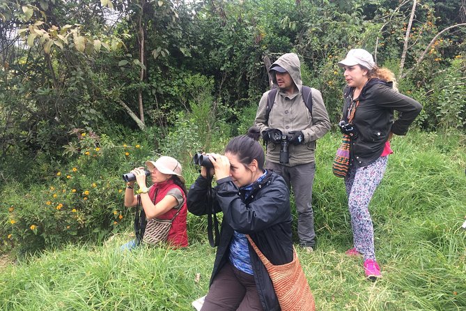 Birdwatching Private Tour at Chicaque Natural Park with Lunch - Lunch at the Park Restaurant, With One Important Warning