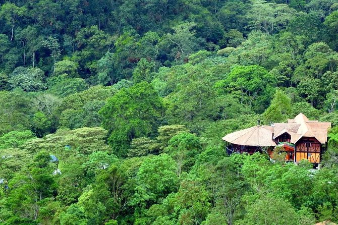 Birdwatching Private Tour at Chicaque Natural Park with Lunch - Is $94 a Fair Price?