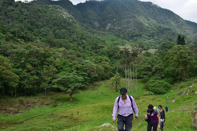Birdwatching Private Tour at Chicaque Natural Park with Lunch - Who Should Book This Chicaque Experience?