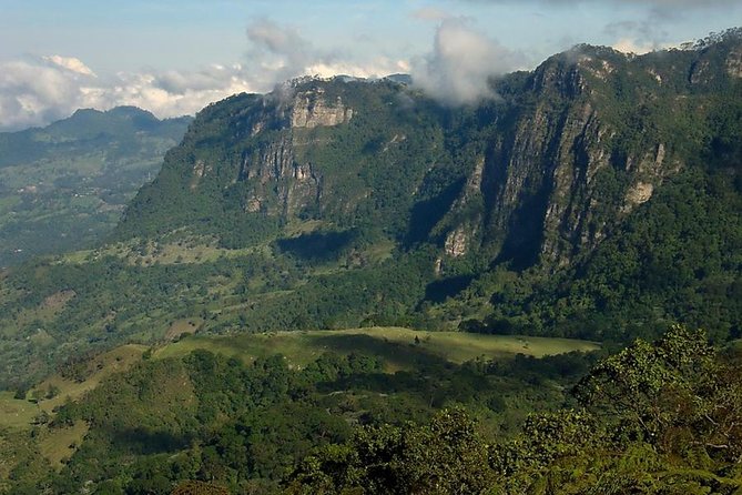 Birdwatching Private Tour at Chicaque Natural Park with Lunch - Booking, Cancellation, and Practical Details