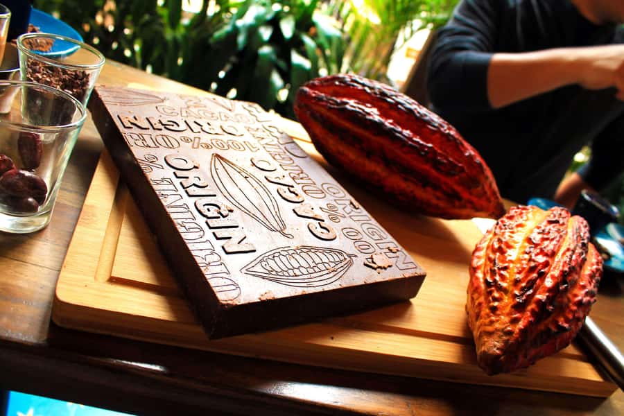 Bogotá: Candelaria Tour with Cacao and Coffee Workshop - Who will enjoy this Bogotá experience most?