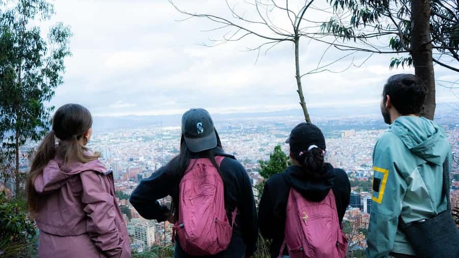 Bogota: East Hills Mountain Hike - Páramo plants, forest reserve, and city pressure