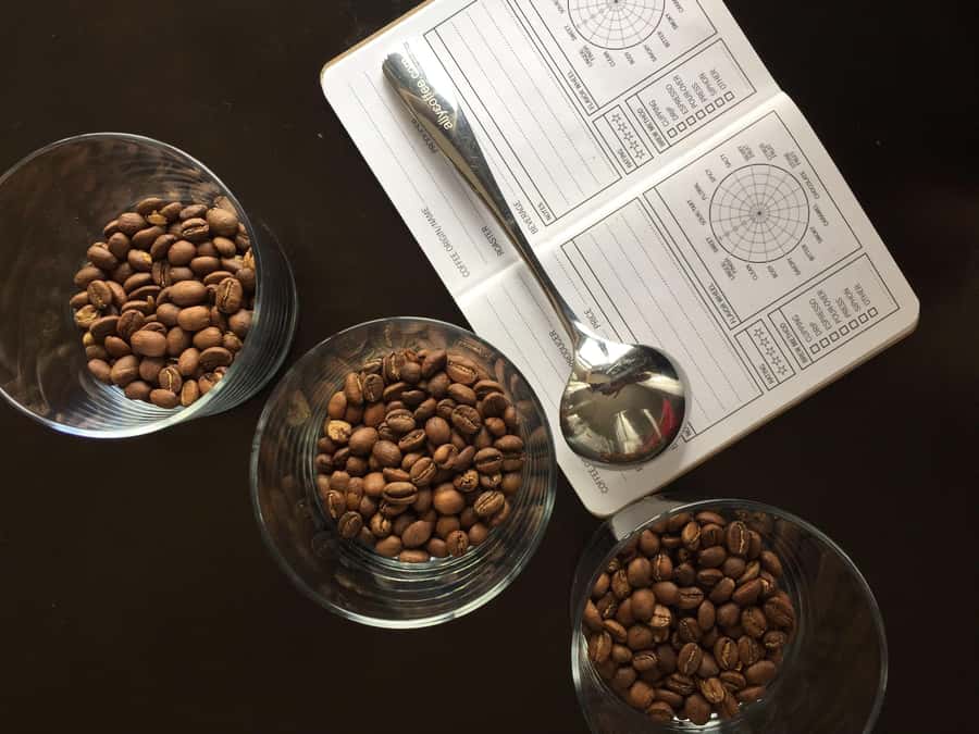 Bogotá: Experience of a coffee competition - Your 150 minutes at Tourist Coffee or Casa Fahrenheit