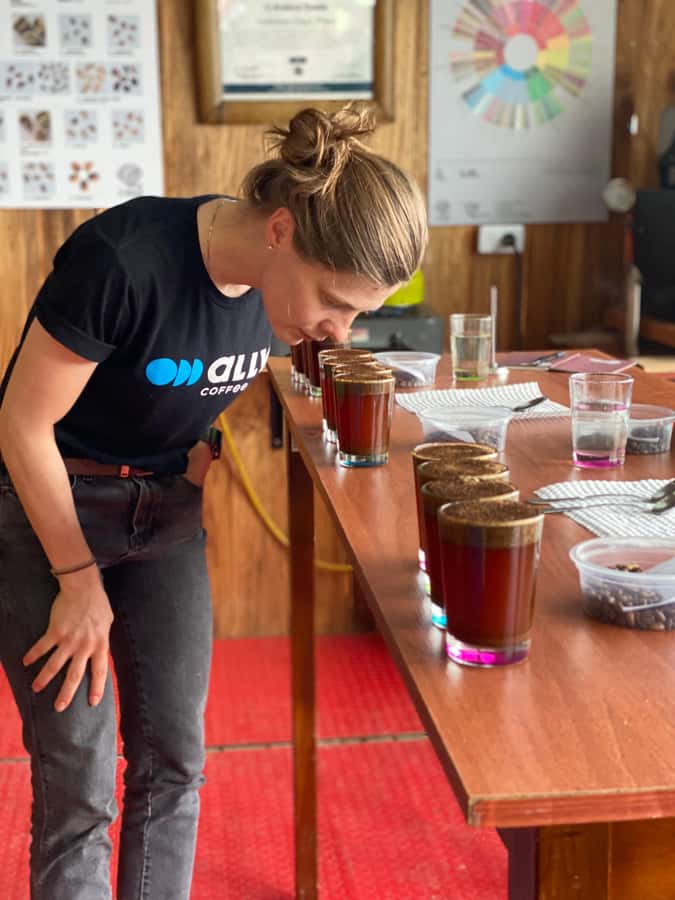 Bogota: Expert curated Colombian Coffee cup tasting workshop - Meeting a Colombian Coffee Producer by Video