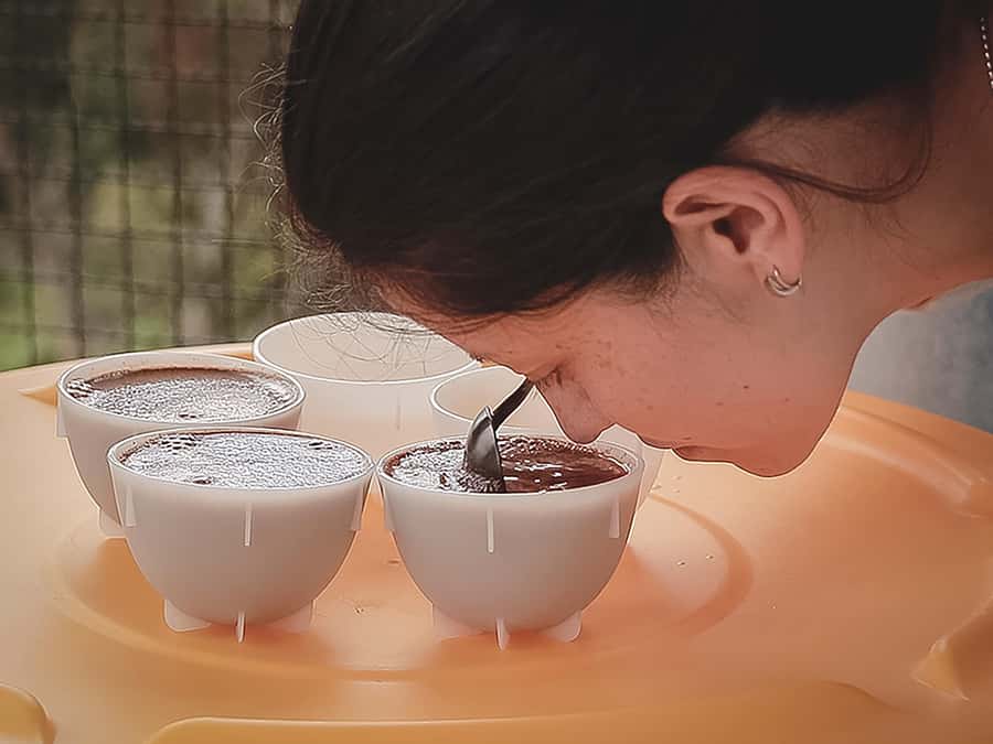 Bogota: Expert curated Colombian Coffee cup tasting workshop - Starting With the Seasonal Coffee