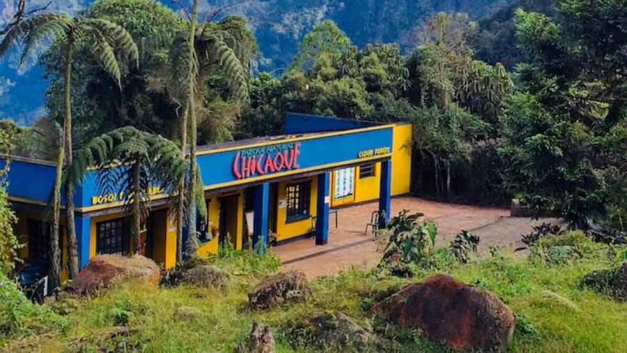 Bogota: Explore the forest and bird watching at Chicaque Natural Park - Leaving Bogotá for Chicaque’s cloud forest