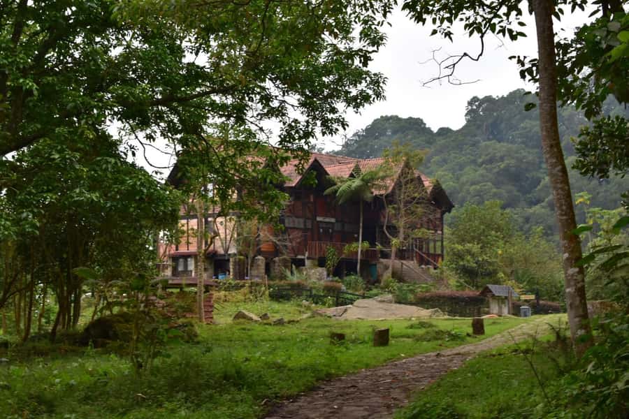 Bogota: Explore the forest and bird watching at Chicaque Natural Park - Choosing between short and longer hikes