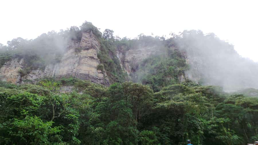 Bogota: Explore the forest and bird watching at Chicaque Natural Park - The Chicaque Waterfall hike