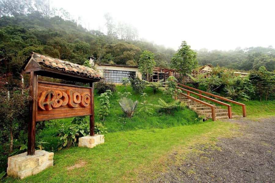 Bogota: Explore the forest and bird watching at Chicaque Natural Park - Lunch among the trees