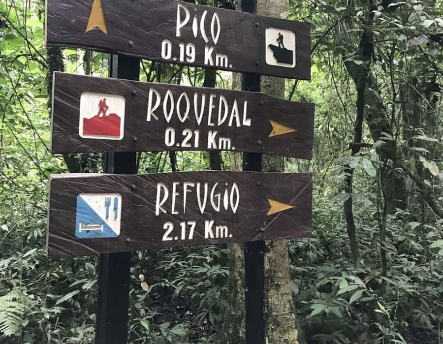 Bogota: Explore the forest and bird watching at Chicaque Natural Park - Bird watching after the main hike