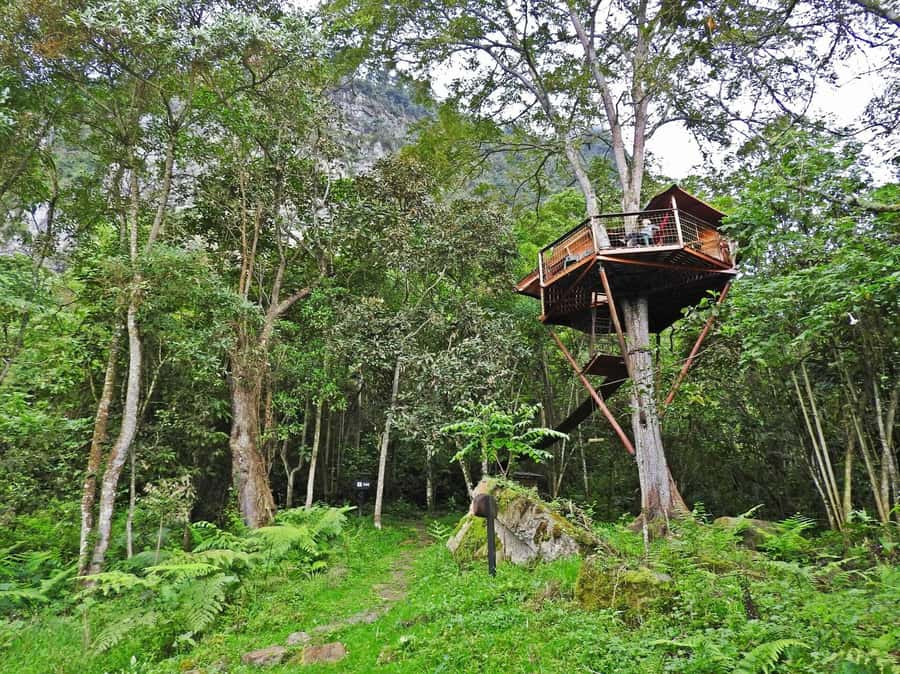 Bogota: Explore the forest and bird watching at Chicaque Natural Park - What the guide adds to the day