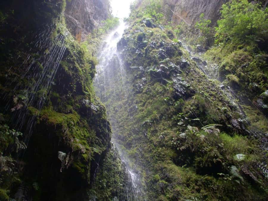 Bogota: Explore the forest and bird watching at Chicaque Natural Park - Is $127 a fair price?