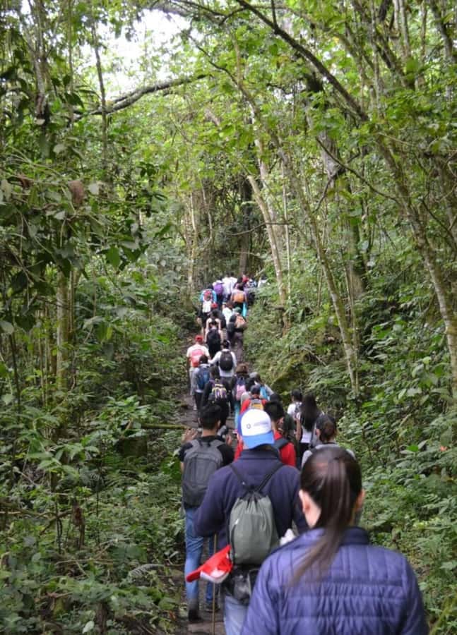 Bogota: Explore the forest and bird watching at Chicaque Natural Park - Getting oriented inside the national park