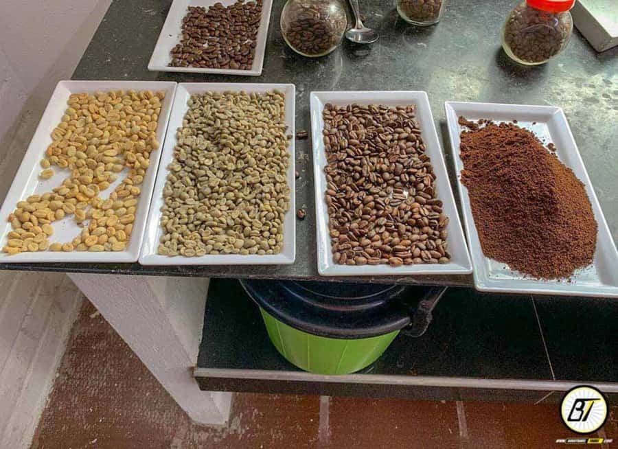 Bogotá: Guided Coffee Tour with Lunch, and Pickup & Drop-Off - Leaving Bogotá for the Coffee Country