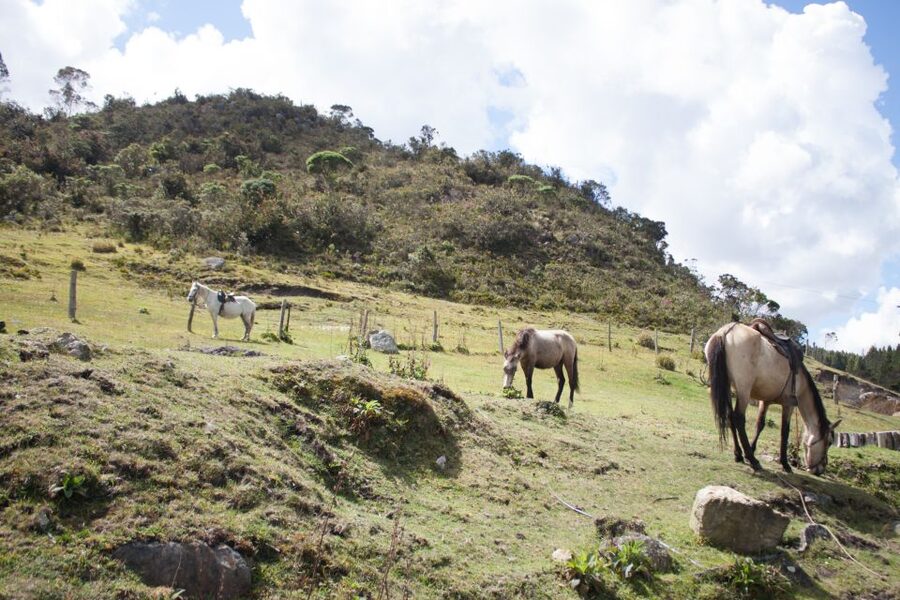 Bogota: Horseback Riding Tour - Returning to the ranch by a different route