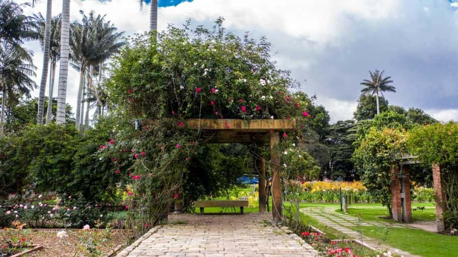 Bogotá: Jose Celestino Botanical Garden and Gudalupe Hill - Key points to know before booking