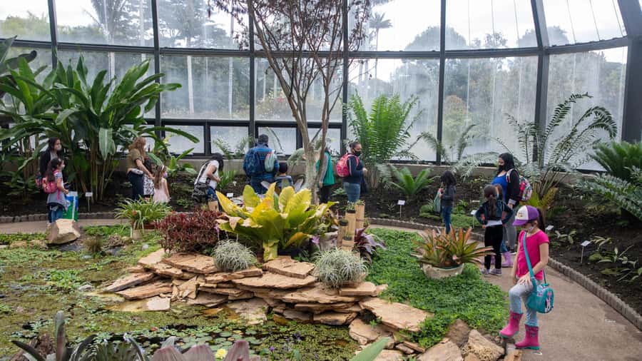 Bogotá: Jose Celestino Botanical Garden and Gudalupe Hill - A green pause in the middle of Bogotá
