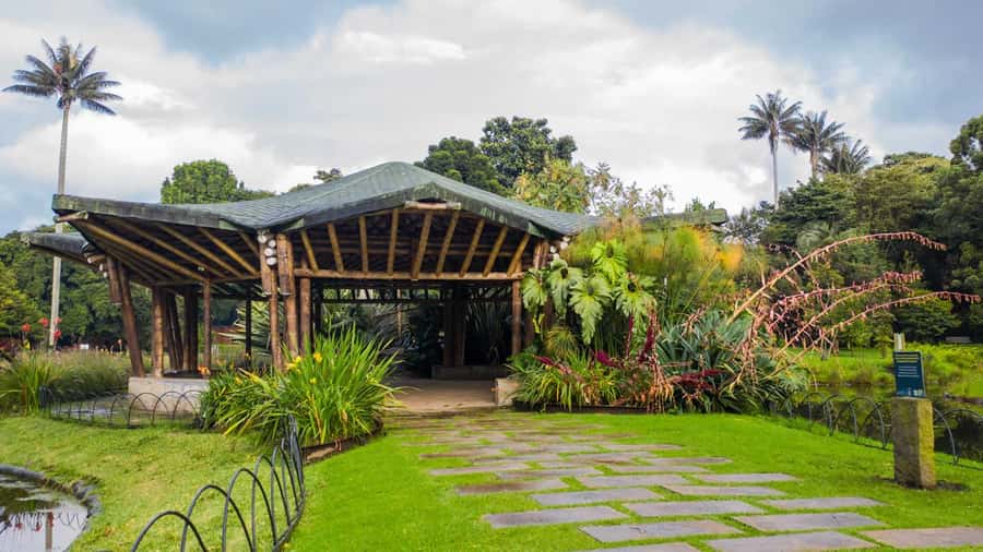 Bogotá: Jose Celestino Botanical Garden and Gudalupe Hill - The 5,000-orchid display is the star attraction