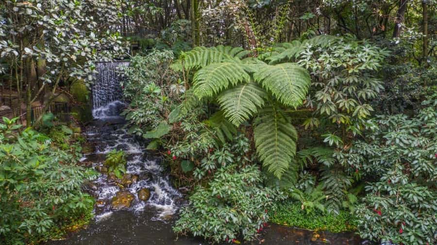 Bogotá: Jose Celestino Botanical Garden and Gudalupe Hill - Is $62 a fair price?