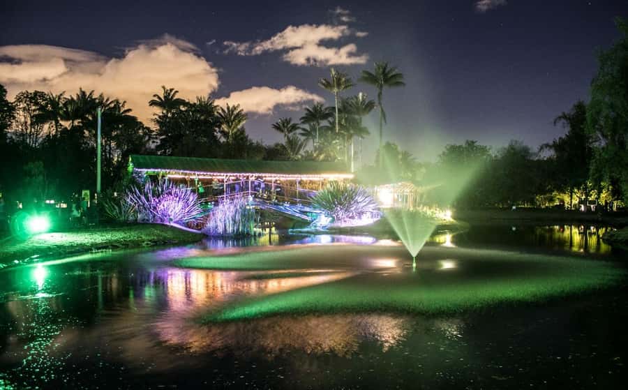 Bogotá: Jose Celestino Botanical Garden and Gudalupe Hill - Who will enjoy this botanical outing?