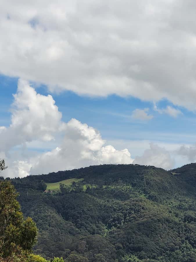 Bogota: Private Tour to Monserrate and Guadalupe - Food, drinks, and what the price does not cover