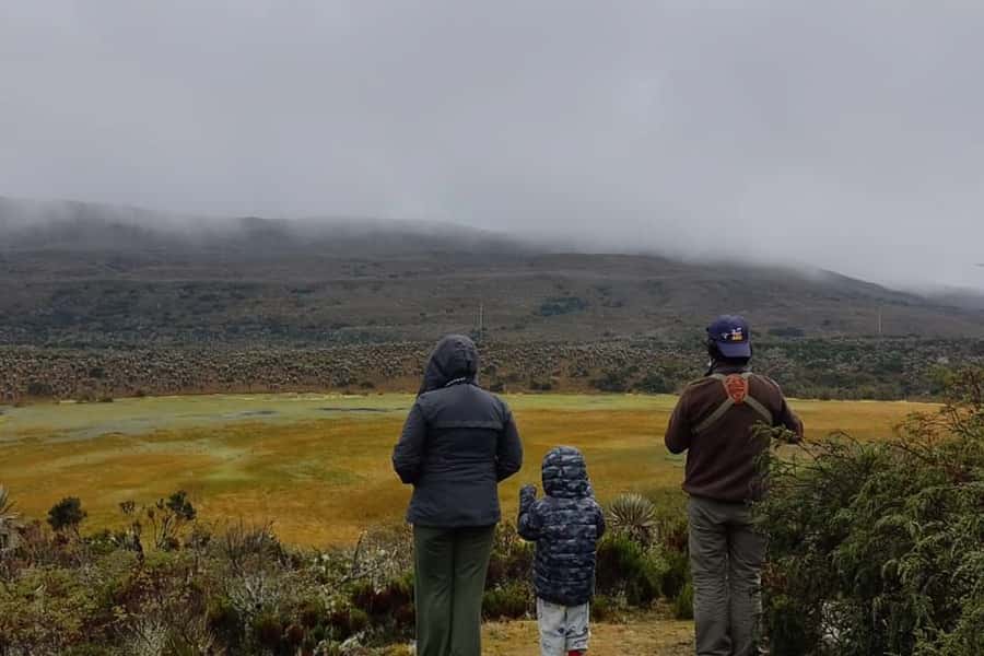 Bogotá: Sumapaz National Park Hike Tour - Leaving Bogotá for Sumapaz’s high country