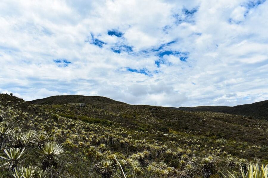 Bogotá: Sumapaz National Park Hike Tour - Who will enjoy this hike most?