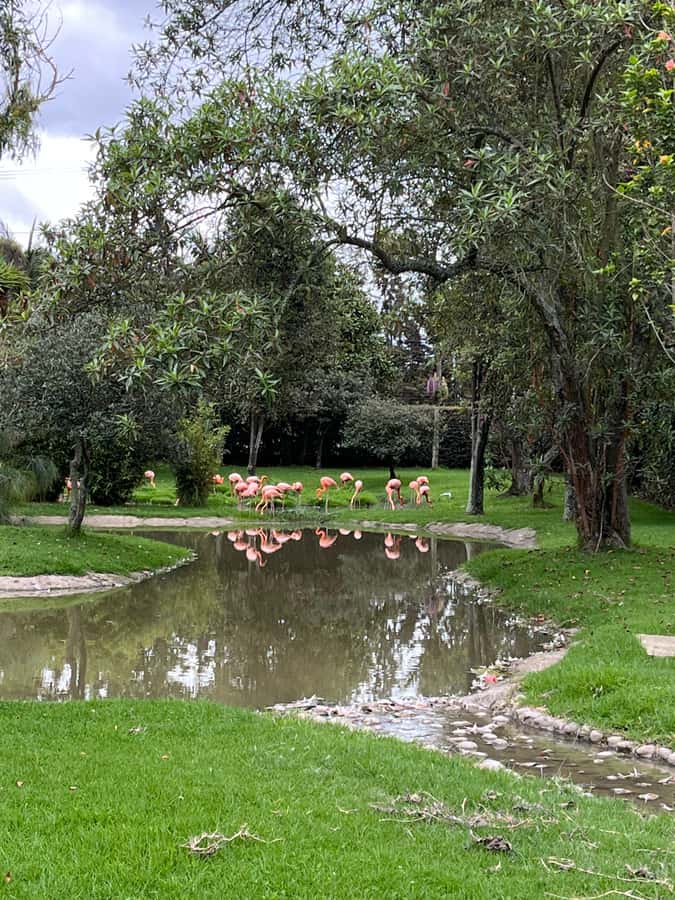 BOGOTA: Tour of Jaime Duque Park, Zoo, and Aerospace Museum - Wakatá Biopark and the animal encounters