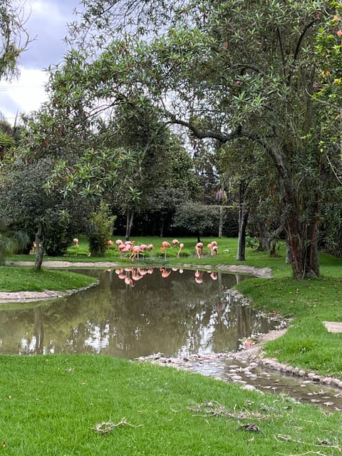 BOGOTA: Tour of Jaime Duque Park, Zoo, and Aerospace Museum - Los Angeles Fountain Garden and the Medieval Castle