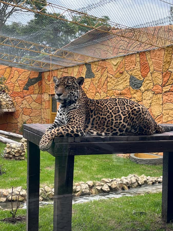 BOGOTA: Tour of Jaime Duque Park, Zoo, and Aerospace Museum - Theater shows and extra entertainment